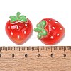 Fruit Theme Opaque Resin Imitation Food Cabochons RE-CBA49A8-03A-3