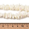 Natural White Mother of Pearl Shell Chip Bead Strands G-M205-63-6