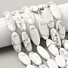 Natural Howlite Beads Strands G-B078-E17-01-1