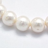 Natural Cultured Freshwater Pearl Beads Strands PEAR-K003-02A-01A-3