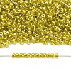TOHO 8/0 Round Beads SEED-XTR08-1013-4