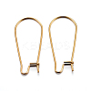 304 Stainless Steel Hoop Earrings LS-X-STAS-P223-01G-01-1