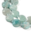 Natural Amazonite Beads Strands G-C116-A23-01A-3