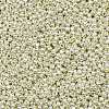 TOHO 11/0 Round Beads X-SEED-TR11-PF0558-2