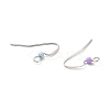 Tarnish Resistant 316 Surgical Stainless Steel Earring Hooks STAS-E044-02P-3