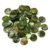 Spray Painted Natural Akoya Shell Charms SHEL-F007-15A-07-1