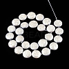 Plating Natural Freshwater Shell Beads Strands SHEL-N026-225B-2