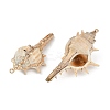 Natural Shell Pendants SHEL-K009-01E-3