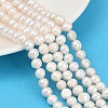 Natural Cultured Freshwater Pearl Beads Strands PEAR-I007-07X-08A-1
