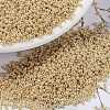 MIYUKI Round Rocailles Beads SEED-JP0010-RR0442-1