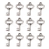 Gifts Ideas for Her Tibetan Style Alloy Charms LF11975Y-1