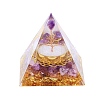 Orgonite Pyramid Resin Energy Generators PW-WG9AFA0-04-1
