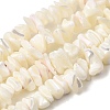 Natural White Mother of Pearl Shell Chip Bead Strands X-G-M205-63-2