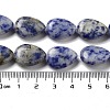 Natural Blue Spot Jasper Beads Strands G-P528-L17-01-5