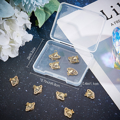 10Pcs Brass Micro Pave Clear Cubic Zirconia Charms KK-BBC0003-18-1