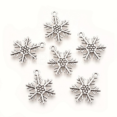 Tibetan Style Alloy Pendants LS-TIBEP-3264-AS-NR-1