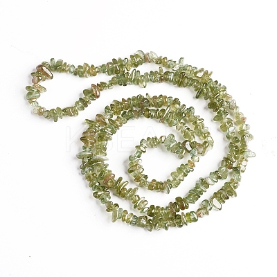 Natural Green Apatite Chips Beads Strands X-G-D0002-A13-1