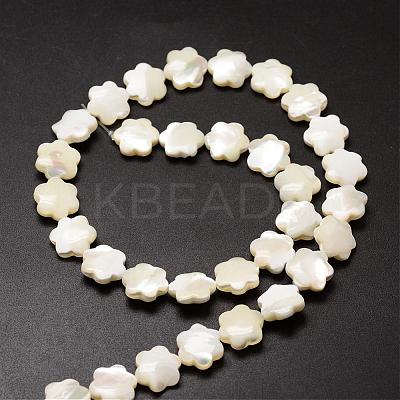 Natural Trochid Shell/Trochus Shell Beads Strands SSHEL-K010-03-1