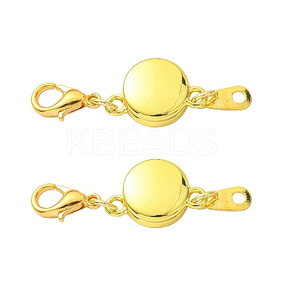 Alloy Magnetic Clasps FIND-YW0002-09G-1