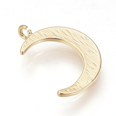 Brass Pendants KK-T016-48G-1