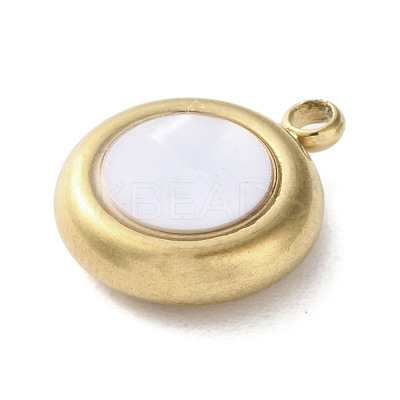 304 Stainless Steel Acrylic Pendants LS-STAS-M091-02A-G-1