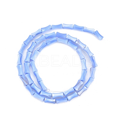 Natural Freshwater Shell Beads Strands SHEL-G013-01-1