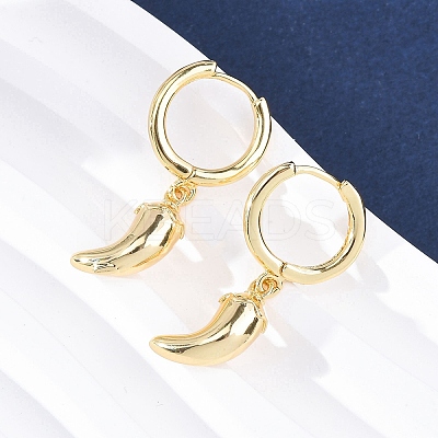 Chili Brass Hoop Earrings EJEW-Q015-17G-1