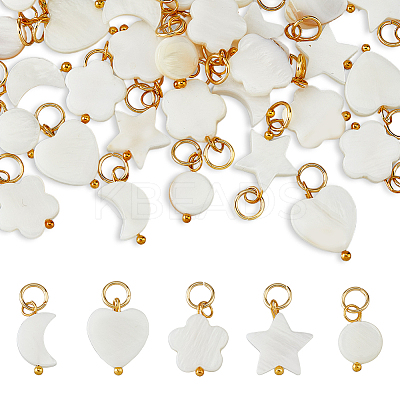 40Pcs 5 Styles Natural Freshwater Shell Charms PALLOY-AB00085-1