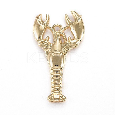 Tibetan Style Alloy Pendants TIBEP-A040-020G-NR-1