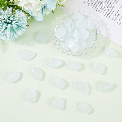 1 Set Resin Luminous Glow in the Dark Pebbles Stone DJEW-CN0001-40C-1