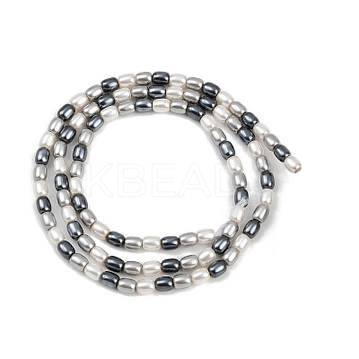 Electroplated Shell Pearl Beads Strands BSHE-H113-06B-02-1