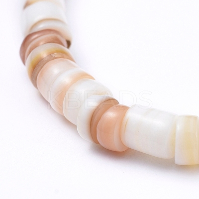 Natural Shell Stretch Beaded Bracelets BJEW-JB05183-03-1