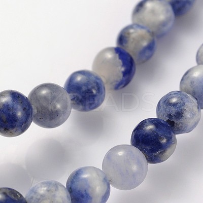 Natural Sodalite Beads Strands GSR4mmC013-1