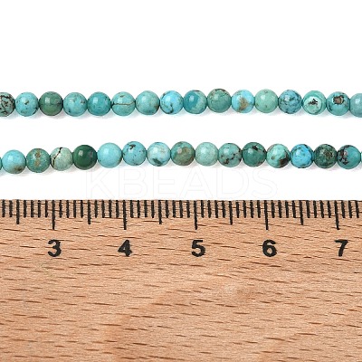 Natural HuBei Turquoise Beads Strands G-P629-D01-01-1