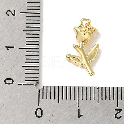 Rack Plating Brass Micro Pave Clear Cubic Zirconia Pendants KK-P267-29G-1