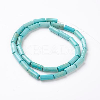 Natural Magnesite Bead Strands TURQ-E024-01A-1