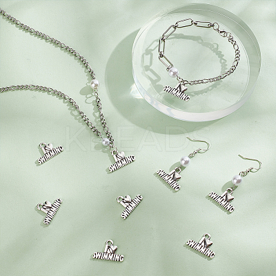 Tibetan Style Zinc Alloy Charms FIND-GL0001-24-1