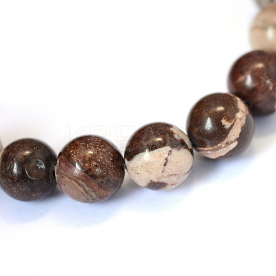 Natural Zebra Jasper Round Bead Strands X-G-E334-6mm-12-1