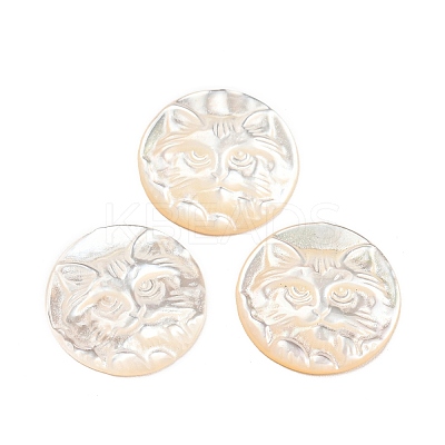 Natural Sea Shell Cabochons SHEL-D079-23-1