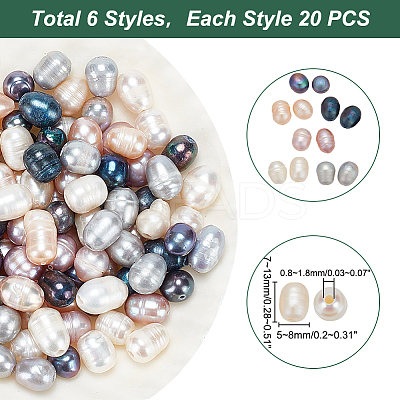 120Pcs 6 Style Large Hole Pearl Beads PEAR-PH0001-13-1