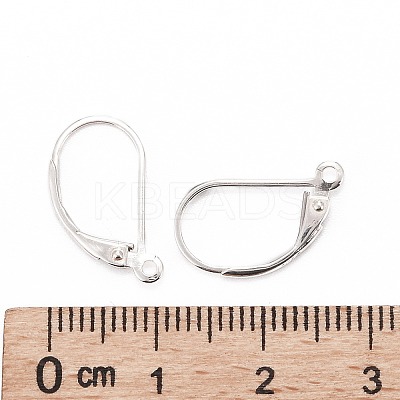 925 Sterling Silver Hoop Earrings X-STER-P032-06S-1