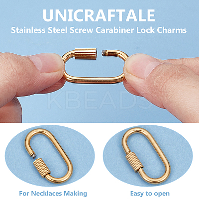 6Pcs 2 Colors 304 Stainless Steel Screw Carabiner Lock Charms STAS-UN0060-77-1