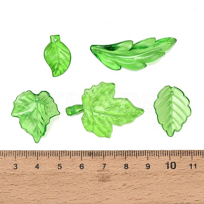Transparent Acrylic Pendants AC-CBAE38D-01A-1