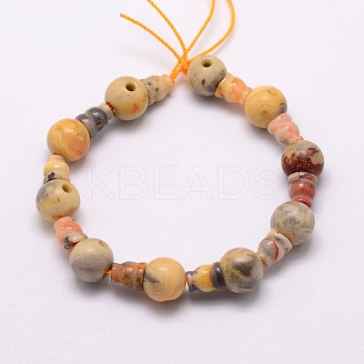 Natural Leopard Skin Jasper 3-Hole Guru Bead Strands G-K149-14-1