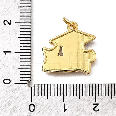 Brass Enamel Pendants KK-Z125-22G-1