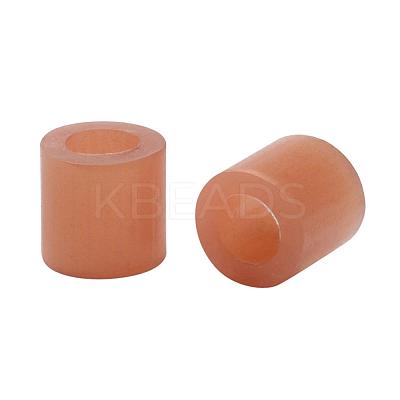 1 Box 5mm Hama Beads PE DIY Fuse Beads Refills for Kids DIY-X0047-A55-B-1