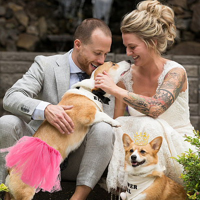 DIY Pet Supplies FIND-DC0007-38-1