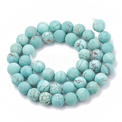 Natural Howlite Beads Strands X-G-T106-185-1-1