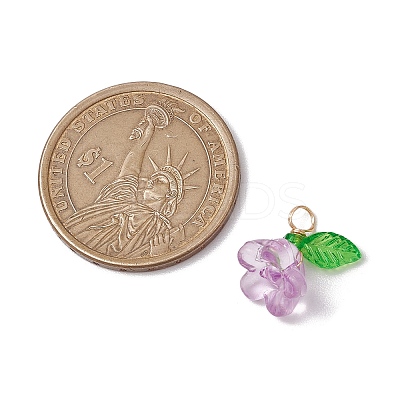 Acrylic Charms PALLOY-JF03079-1