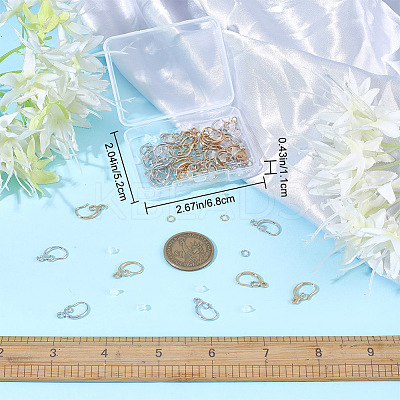 22 Pairs 2 Colors Brass Earring Hooks DIY-CN0002-61-1